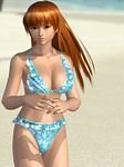 pic for Dead or Alive XTREME